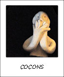 cocons